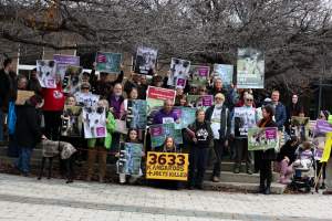 Rally Against the Kangaroo Cull 2026 - Photos taken at a Rally against the annual Kangaroo Cull in Canberra, 2026. This rally was hosted by Animal Defenders Office, Save Canberra's Kangaroos, Animal Liberation ACT, and Animal Justice Party ACT. - Captured at ACT.