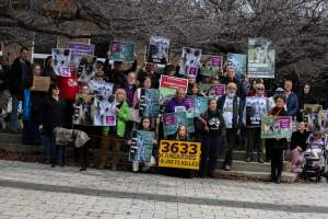 Rally Against the Kangaroo Cull 2026 - Photos taken at a Rally against the annual Kangaroo Cull in Canberra, 2026. This rally was hosted by Animal Defenders Office, Save Canberra's Kangaroos, Animal Liberation ACT, and Animal Justice Party ACT. - Captured at ACT.