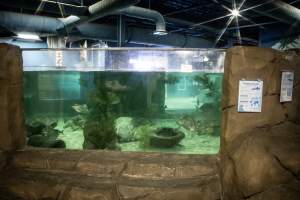 Woodbridge Aquarium & Wildlife - Captured at Woodbridge Aquarium & Wildlife, Woodbridge Township NJ United States.