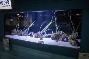 Woodbridge Aquarium & Wildlife - Captured at Woodbridge Aquarium & Wildlife, Woodbridge Township NJ United States.