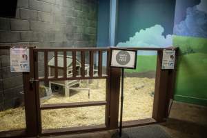 Woodbridge Aquarium & Wildlife - Captured at Woodbridge Aquarium & Wildlife, Woodbridge Township NJ United States.