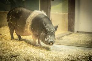 Woodbridge Aquarium & Wildlife - Captured at Woodbridge Aquarium & Wildlife, Woodbridge Township NJ United States.