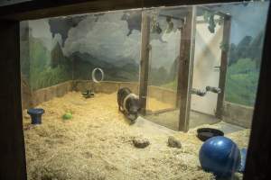 Woodbridge Aquarium & Wildlife - Captured at Woodbridge Aquarium & Wildlife, Woodbridge Township NJ United States.