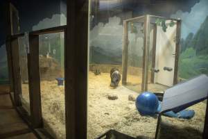 Woodbridge Aquarium & Wildlife - Captured at Woodbridge Aquarium & Wildlife, Woodbridge Township NJ United States.