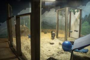 Woodbridge Aquarium & Wildlife - Captured at Woodbridge Aquarium & Wildlife, Woodbridge Township NJ United States.