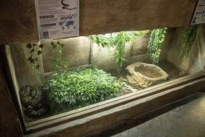 Woodbridge Aquarium & Wildlife - Captured at Woodbridge Aquarium & Wildlife, Woodbridge Township NJ United States.