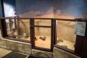 Woodbridge Aquarium & Wildlife - Captured at Woodbridge Aquarium & Wildlife, Woodbridge Township NJ United States.