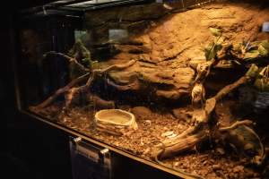 Woodbridge Aquarium & Wildlife - Captured at Woodbridge Aquarium & Wildlife, Woodbridge Township NJ United States.