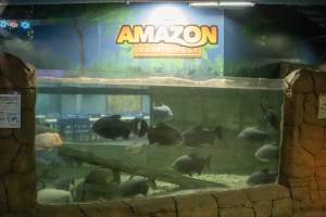 Woodbridge Aquarium & Wildlife - Captured at Woodbridge Aquarium & Wildlife, Woodbridge Township NJ United States.