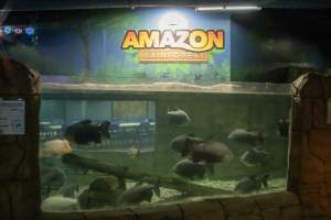 Woodbridge Aquarium & Wildlife - Captured at Woodbridge Aquarium & Wildlife, Woodbridge Township NJ United States.