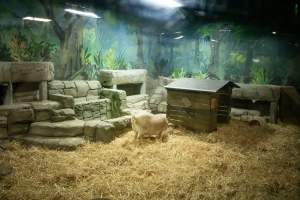 Woodbridge Aquarium & Wildlife - Captured at Woodbridge Aquarium & Wildlife, Woodbridge Township NJ United States.