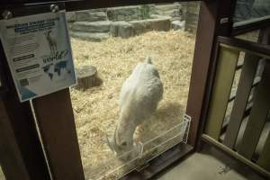 Woodbridge Aquarium & Wildlife - Captured at Woodbridge Aquarium & Wildlife, Woodbridge Township NJ United States.