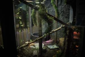 Woodbridge Aquarium & Wildlife - Captured at Woodbridge Aquarium & Wildlife, Woodbridge Township NJ United States.