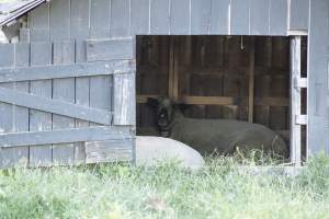 Longstreet Farm - Captured at Longstreet Farm, Holmdel NJ United States.