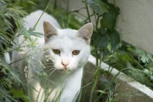 Longstreet Farm - Captured at Longstreet Farm, Holmdel NJ United States.