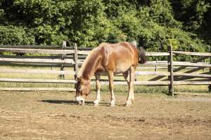 Longstreet Farm - Captured at Longstreet Farm, Holmdel NJ United States.