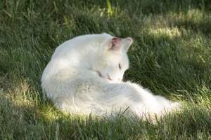 Longstreet Farm - Captured at Longstreet Farm, Holmdel NJ United States.