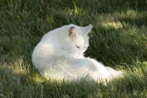 Longstreet Farm - Captured at Longstreet Farm, Holmdel NJ United States.