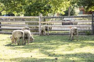 Longstreet Farm - Captured at Longstreet Farm, Holmdel NJ United States.