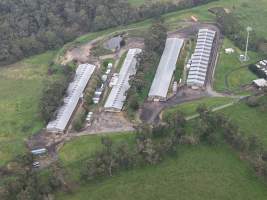 Drone flyover - Captured at Stumpy Gully Poultry, Tuerong VIC Australia.