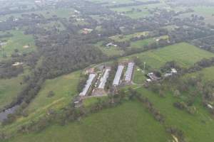 Drone flyover - Captured at Stumpy Gully Poultry, Tuerong VIC Australia.