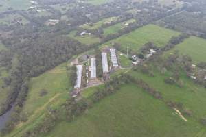 Drone flyover - Captured at Stumpy Gully Poultry, Tuerong VIC Australia.