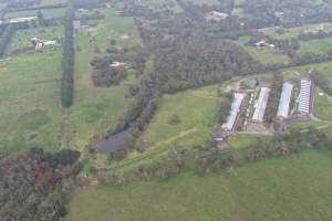 Drone flyover - Captured at Stumpy Gully Poultry, Tuerong VIC Australia.