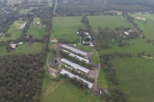 Drone flyover - Captured at Stumpy Gully Poultry, Tuerong VIC Australia.