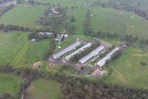 Drone flyover - Captured at Stumpy Gully Poultry, Tuerong VIC Australia.