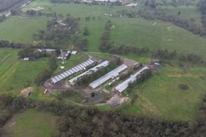 Drone flyover - Captured at Stumpy Gully Poultry, Tuerong VIC Australia.