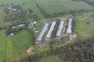 Drone flyover - Captured at Stumpy Gully Poultry, Tuerong VIC Australia.