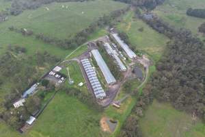 Drone flyover - Captured at Stumpy Gully Poultry, Tuerong VIC Australia.