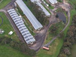 Drone flyover - Captured at Stumpy Gully Poultry, Tuerong VIC Australia.
