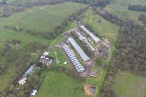 Drone flyover - Captured at Stumpy Gully Poultry, Tuerong VIC Australia.