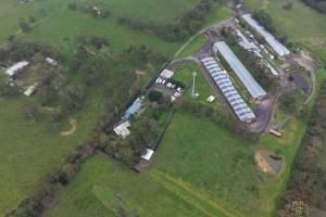 Drone flyover - Captured at Stumpy Gully Poultry, Tuerong VIC Australia.
