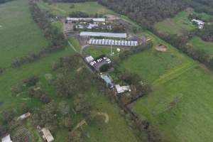 Drone flyover - Captured at Stumpy Gully Poultry, Tuerong VIC Australia.