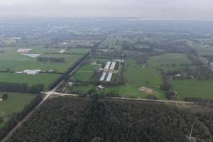Captured at Pashlak Pty Ltd, Tuerong VIC Australia.