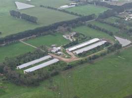 Captured at Pashlak Pty Ltd, Tuerong VIC Australia.