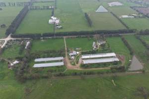 Captured at Pashlak Pty Ltd, Tuerong VIC Australia.
