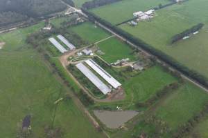 Captured at Pashlak Pty Ltd, Tuerong VIC Australia.