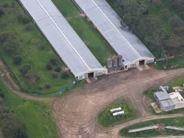 Captured at Pashlak Pty Ltd, Tuerong VIC Australia.