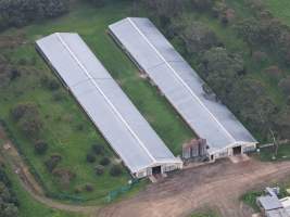 Captured at Pashlak Pty Ltd, Tuerong VIC Australia.