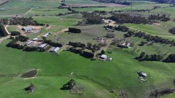 Captured at Mayfield Sheep Farm, Mayfield NSW Australia.