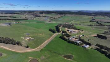 Captured at Mayfield Sheep Farm, Mayfield NSW Australia.