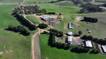 Captured at Mayfield Sheep Farm, Mayfield NSW Australia.