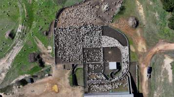 Captured at Mayfield Sheep Farm, Mayfield NSW Australia.