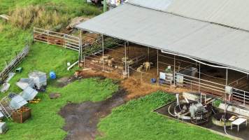 Captured at AD Meats (Alexander Downs), Heddon Greta NSW Australia.