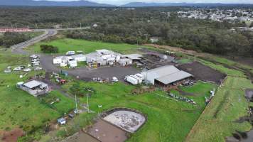 Captured at AD Meats (Alexander Downs), Heddon Greta NSW Australia.