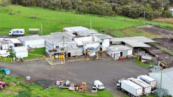 Captured at AD Meats (Alexander Downs), Heddon Greta NSW Australia.