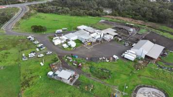 Captured at AD Meats (Alexander Downs), Heddon Greta NSW Australia.